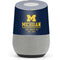 University of Michigan Ann Arbor Est 1817 Google Home Skin